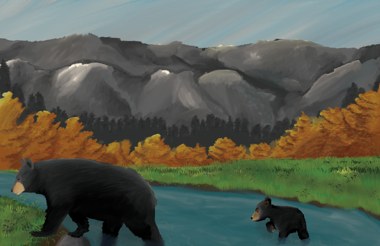 North Carolina Nature Conservancy Spread